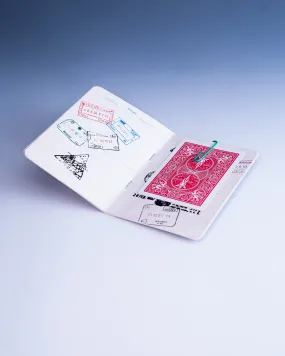 PASSPORT RENEWED